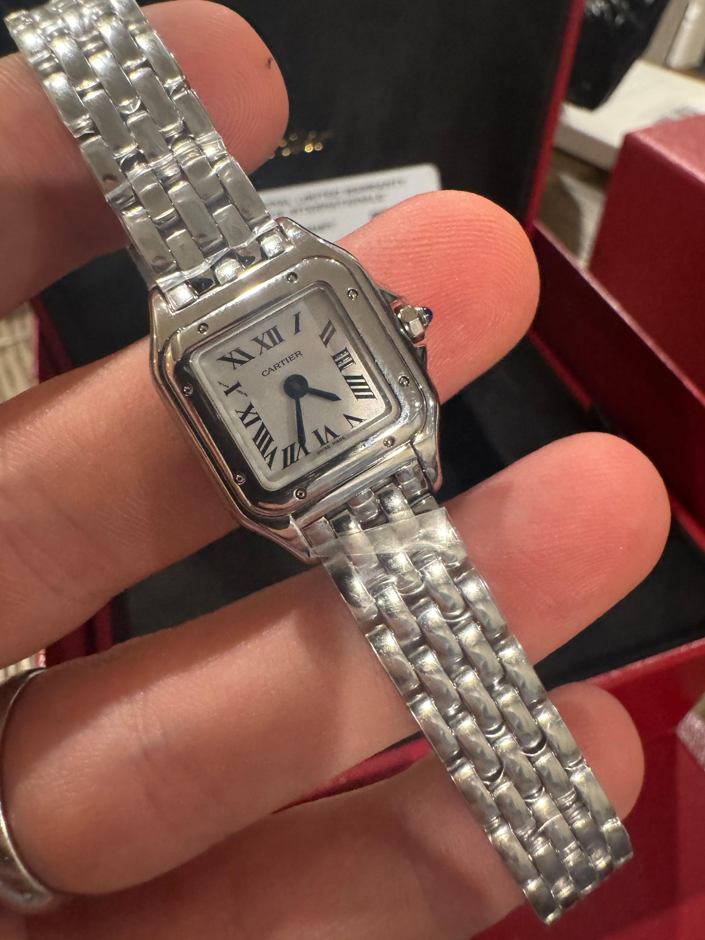 Cartier Panthére De Cartier Stainless Steel (Mini Model) 25 MM x 19 MM - Stainless Steel Bracelet - Stainless Steel Bezel - Silver Dial - WSPN0012