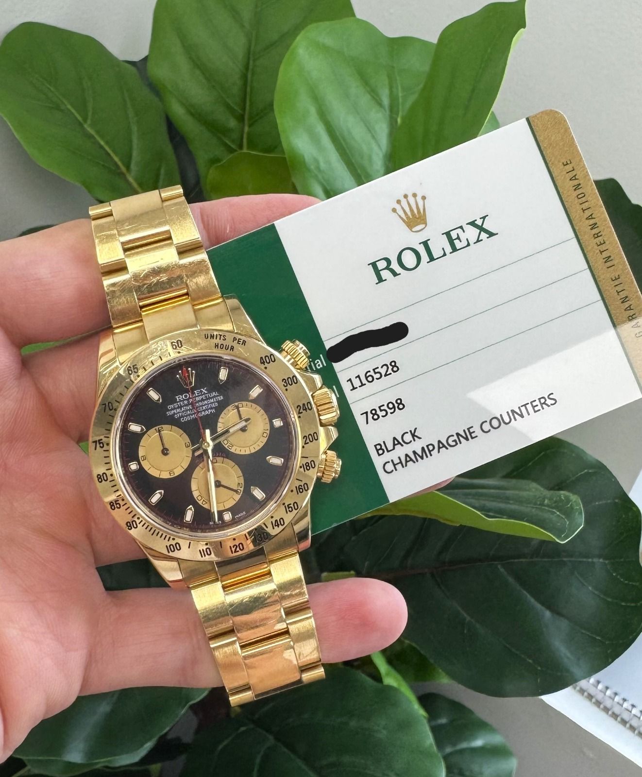 Rolex Yellow Gold Daytona "Paul Newman" Watch - 40 MM - Oyster Bracelet - Black Dial with Champagne Counters- 116528