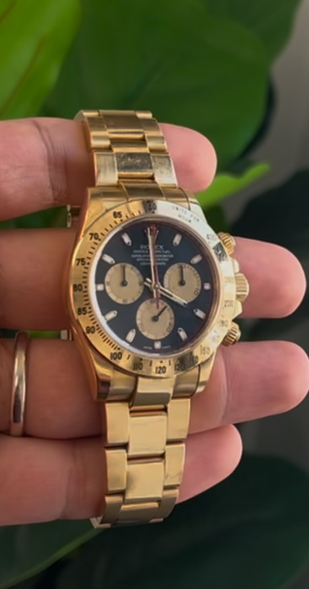 Rolex Yellow Gold Daytona "Paul Newman" Watch - 40 MM - Oyster Bracelet - Black Dial with Champagne Counters- 116528