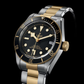 Tudor Black Bay S&G - 41 MM - Steel and Yellow Gold - Black Dial - M79733N-0008 - NYCW