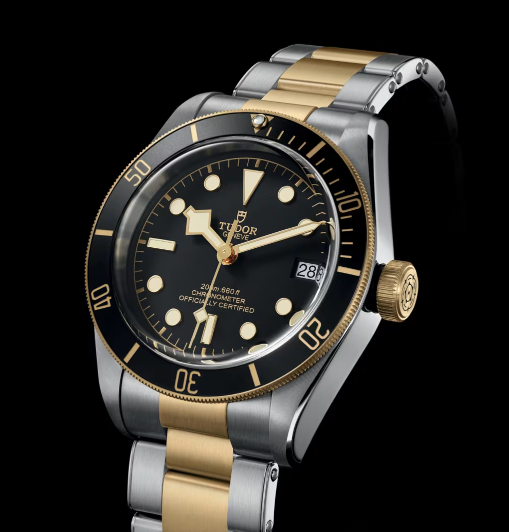 Tudor Black Bay S&G - 41 MM - Steel and Yellow Gold - Black Dial - M79733N-0008 - NYCW