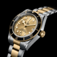 Tudor Black Bay S&G - 41 MM - Steel and Yellow Gold - Champagne Dial - M79733N-0004 - NYCW