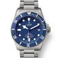 Tudor Pelagos - 42 MM - Titanium & Steel - Blue Dial - M25600TB-0001