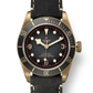 Tudor Black Bay Bronze - 43 MM - Bronze - Slate Dial - M79250BA-0001