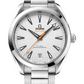 Omega Seamaster Aqua Terra Co Axial Stainless Steel 41 MM - Stainless Steel Bracelet - Silvery Dial - 220.10.41.21.02.001