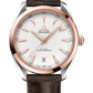 Omega Seamaster Rose Gold and Stainless Steel 41 MM - Brown Leather Strap - Silvery Dial - 220.23.41.21.02.001