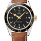 Omega Seamaster Stainless Steel and Yellow Gold 41 MM - Brown Leather Strap - Black Dial - 233.22.41.21.01.001 nyc watcher nyc watches