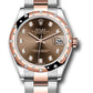 Rolex Steel and Everose Gold Datejust - 31 MM - Oyster Bracelet - 24 Diamond Bezel -  Chocolate diamond  Dial - 278341RBR chodo