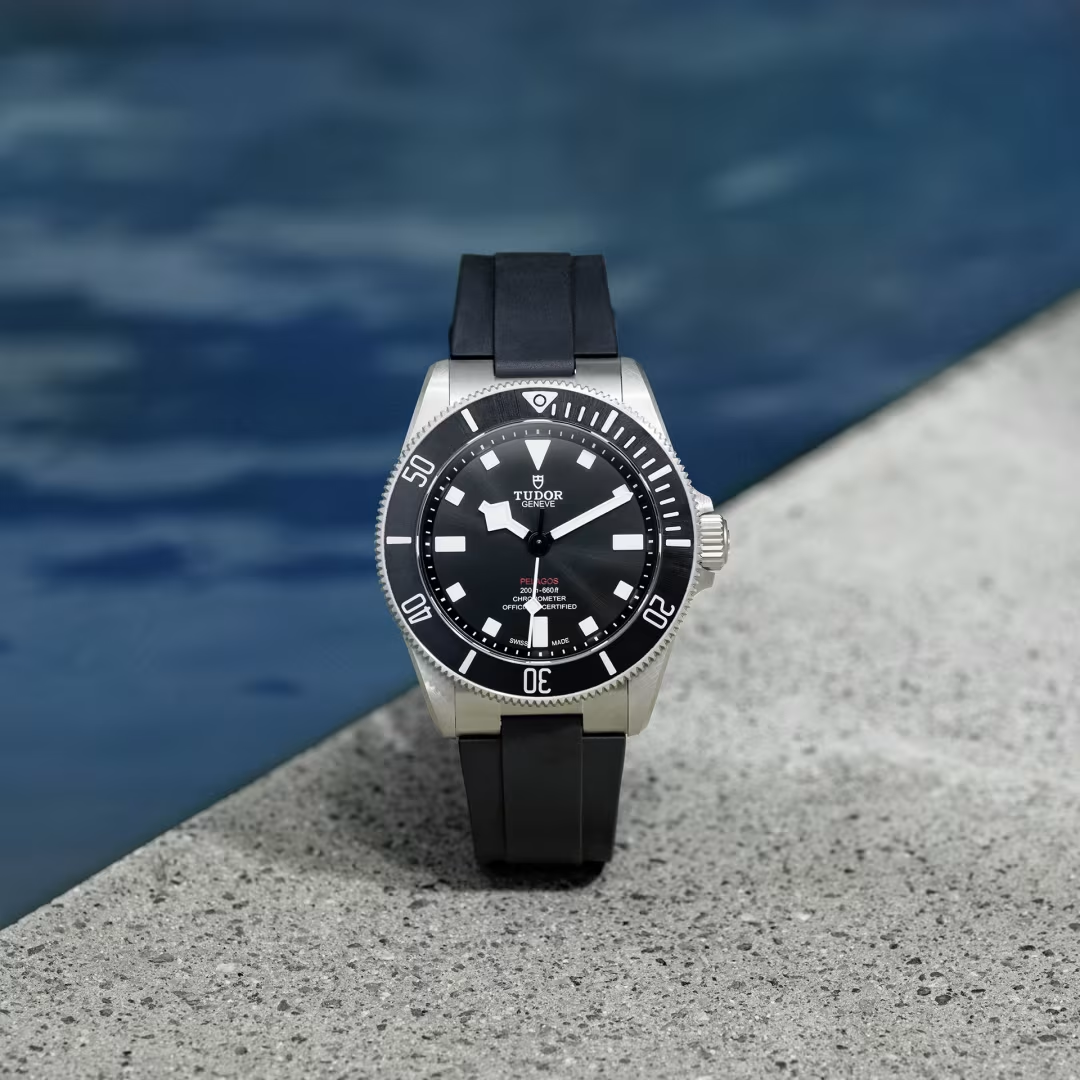 Tudor Pelagos - 39 MM - Titanium - Black Dial - M25407N-0001