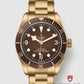 Tudor Black Bay 58 Bronze - 39 MM - Bronze - Brown Dial - M79012M-0001