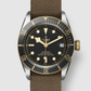 Tudor Black Bay S&G - 41 MM - Stainless Steel - Black Dial - M79733N-0005 - NYCW