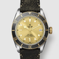 Tudor Black Bay S&G - 41 MM - Stainless Steel - Champagne Dial - M79733N-0003 - NYCW