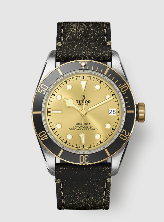 Tudor Black Bay S&G - 41 MM - Stainless Steel - Champagne Dial - M79733N-0003 - NYCW