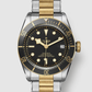 Tudor Black Bay S&G - 41 MM - Steel and Yellow Gold - Black Dial - M79733N-0008 - NYCW