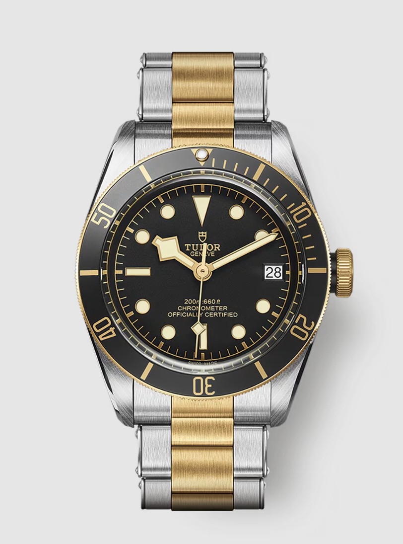 Tudor Black Bay S&G - 41 MM - Steel and Yellow Gold - Black Dial - M79733N-0008 - NYCW