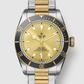 Tudor Black Bay S&G - 41 MM - Steel and Yellow Gold - Champagne Dial - M79733N-0004 - NYCW