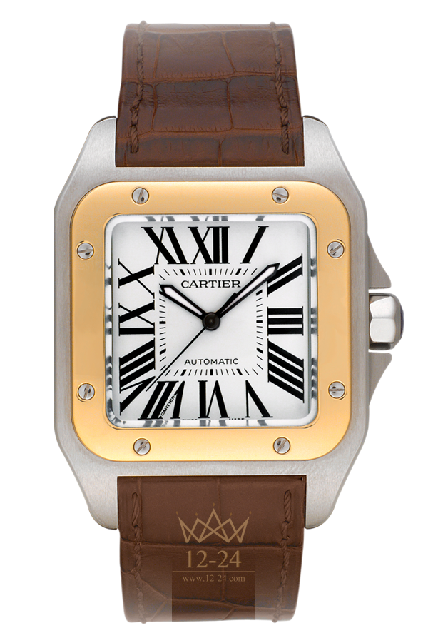 Cartier - Santos - 41 MM - Stainless Steel - Yellow Gold Bezel - Silver Dial - W20072X7