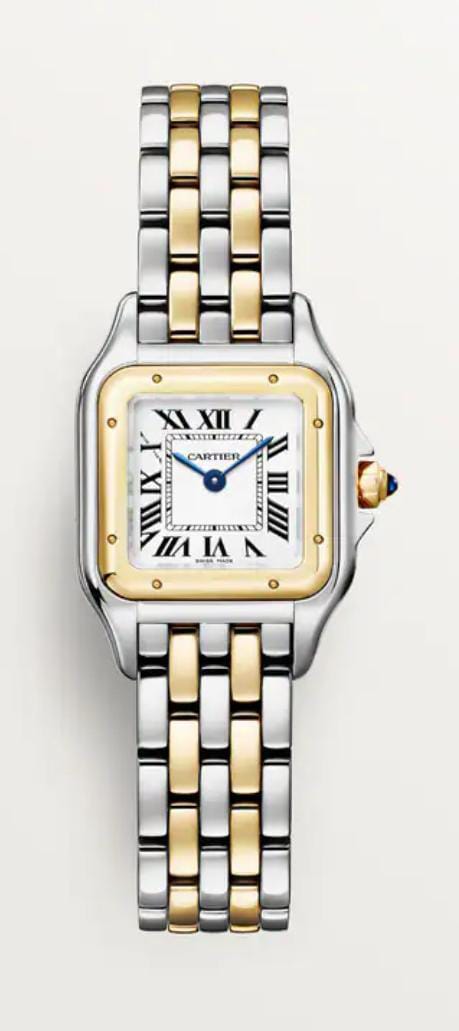Cartier Panthére De Cartier Yellow Gold and Stainless Steel (Small Model) - 30 MM x 23 MM - Yellow Gold ans Stainless Steel Bracelet - Yellow Gold Bezel - Silvered Dial - W2PN0018