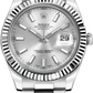 Rolex Datejust - 41 MM - Steel - Silver Dial - 116334-SLVSO nyc watcher nyc watches