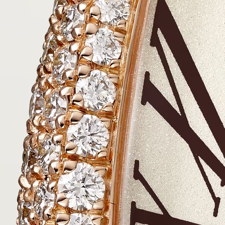 Cartier Baignoire Allongée Rose gold 47 MM - Taupe Alligator Strap - Diamond Bezel - Silver Dial - WJBA0006