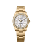 Rolex Oyster Perpetual - Yellow Gold - 34 MM - Oyster Bracelet - MoP Dial - 124248RBR-0001