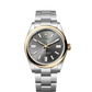 Rolex Oyster Perpetual "100 Years" Centennial Edition - Yellow Rolesor - 41 MM - Oyster Bracelet - Slate Dial - 134303-0001