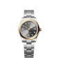 Rolex Oyster Perpetual "100 Years" Centennial Edition - Yellow Rolesor - 31 MM - Oyster Bracelet - Slate Dial - 277203-0001