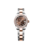 Rolex Lady-Datejust - 28 MM - Oystersteel and Rose Gold - Oyster Bracelet - Diamond Bezel - Chocolate IX Star Diamond Dial - 279381RBR-0004