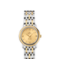 Omega De Ville Stainless Steel and Yellow Gold 24.4 MM - Stainless Steel and Yellow Gold Bracelet - Champagne Diamond Dial - 424.20.24.60.08.001 nyc watcher nyc watches