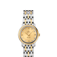 Omega De Ville Stainless Steel and Yellow Gold 24.4 MM - Stainless Steel and Yellow Gold Bracelet - Champagne Diamond Dial - 424.20.24.60.58.001 nyc watcher nyc watches