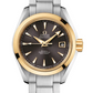 Omega Seamaster Aqua Terra Co Axial Yellow Gold and Stainless Steel 30 MM - Yellow Gold and Stainless Steel Bracelet - Grey Dial - 231.20.30.20.06.004