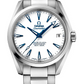 Omega Seamaster Titanium 38.5 MM - Titanium Bracelet - White Dial - 231.90.39.21.04.001