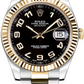 Rolex Datejust 41 MM Steel and Yellow Gold - 116333-0004 nyc watcher nyc watches