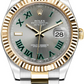 Rolex Datejust 41 MM Steel and Yellow Gold- 116333-0001 nyc watcher nyc watches