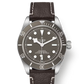 Tudor Black Bay 58 925 - 39 MM - 925 Silver - Taupe Dial - M79010SG-0001