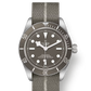 Tudor Black Bay 58 925 - 39 MM - Silver - Taupe Dial - M79010SG-0002