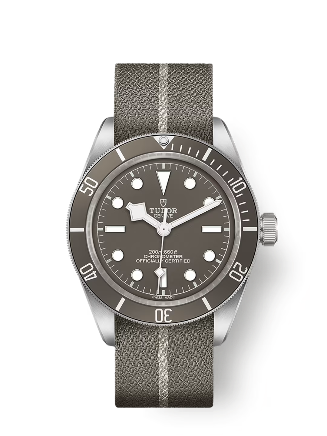 Tudor Black Bay 58 925 - 39 MM - Silver - Taupe Dial - M79010SG-0002