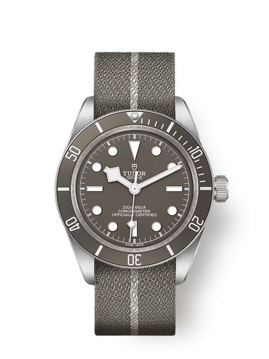 Tudor Black Bay 58 925 - 39 MM - Silver - Taupe Dial - M79010SG-0002