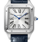 Leather Strap - Silver Dial - WSSA0032