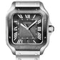 Cartier Santos de Cartier Stainless Steel 39.8 MM (Large Model) - Stainless Steel Bracelet - Grey Dial - WSSA0037